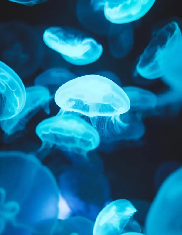 Marine Biology